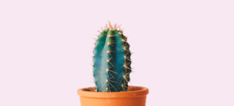 Minimalism